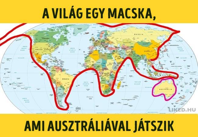 A vilag egy macska ami ausztraliaval jatszik