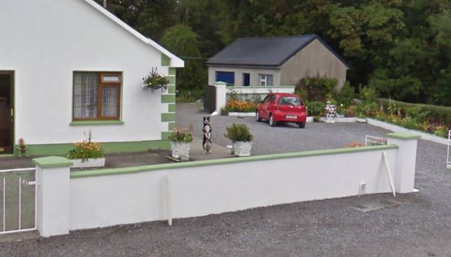 Szemmel láthatóan felkeltette figyelmét a Google Street View autó.