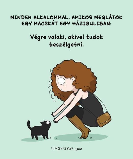 Egy művészduó képregényeket készít a macskagazdik legtipikusabb pillanatairól