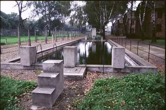 Német medencék 013