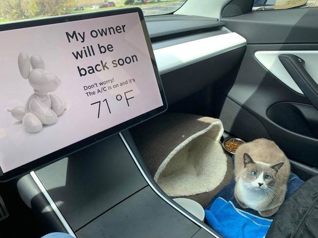 A Tesla autókban a következő üzenet jeleníthető meg a képernyőn az éber járókelőknek: „A gazdám hamarosan visszatér. Ne aggódj! A hőmérséklet a kocsiban 21°C."