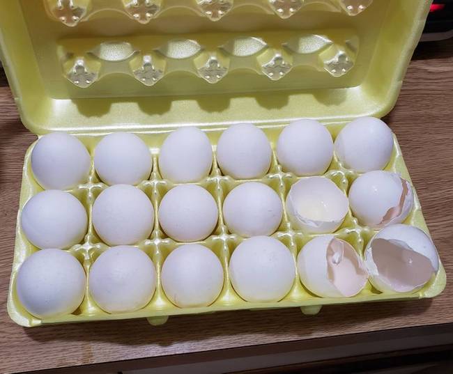 „Megengedtem, hogy az egyik munkanélküli haverom nálam lakjon egy ideig, míg talpra nem áll. Azóta ilyeneket találok az egész házban."