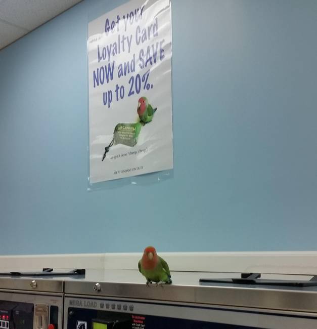 Véletlen egybeesés.