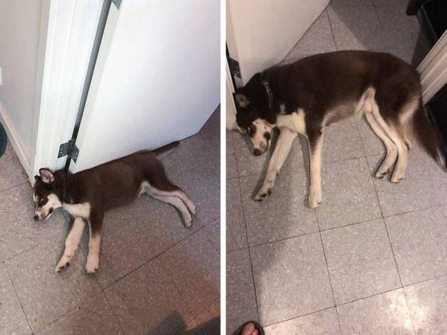 A nagyobb méretnek hála most még jobban el tudja állni az utat.