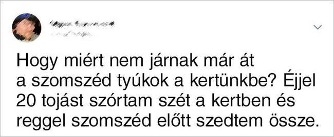 Szomszéd előtt összeszedett tojások