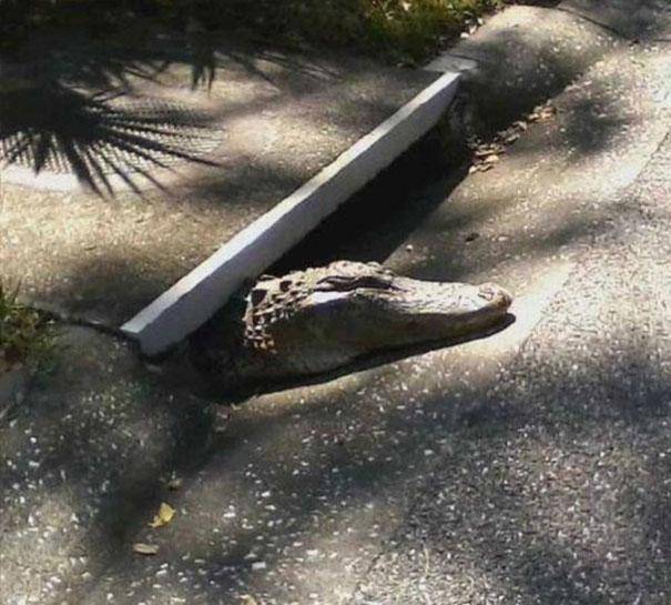 Valahol Floridában.