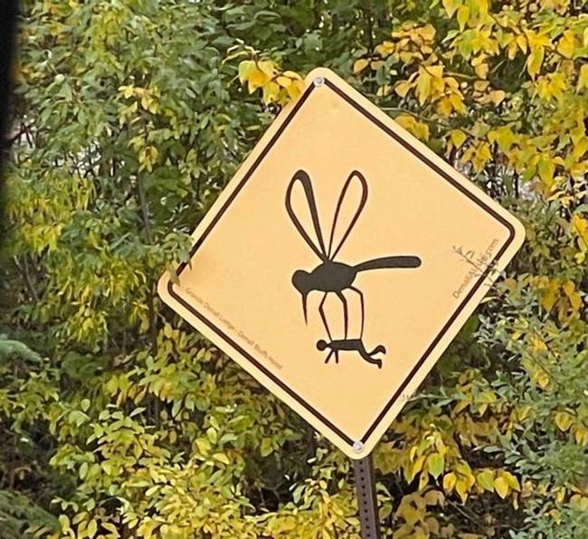 Csak egy tábla, ami figyelmeztet a szúnyogokra.