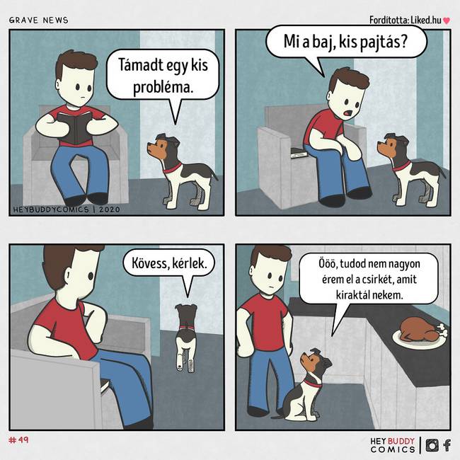 Ez valószínűleg minden gazdi számára ismerős.