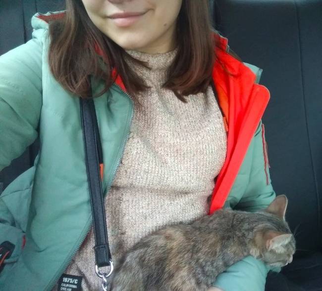 „Taxival utaztam, amikor hirtelen az anyósülésről egy macska mászott az ölembe, majd el is aludt."