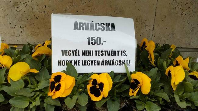 Marketing level: 999.