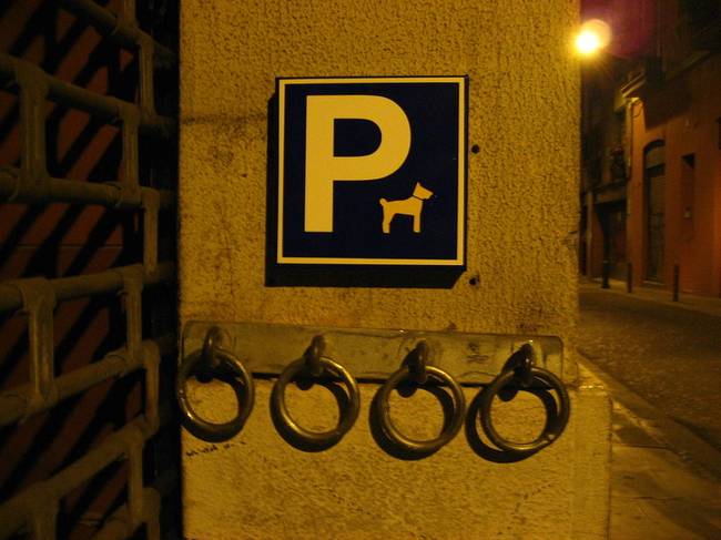 Kutyaparkoló a bevásárlóközpontok és közigazgatási intézmények közelében.