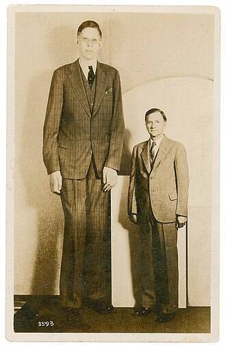 Robert Pershing Wadlow - a történelem legmagasabb embere a Guinness Rekordok Könyve szerint (magassága 2,72 m).