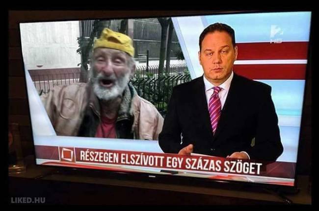 Ha mindennap ilyen hírek lennének, esküszöm néznék híradót...✋😂