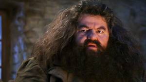 Hagrid