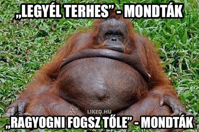 20 vicces terhességgel kapcsolatos mém, ami többet mond minden szónál