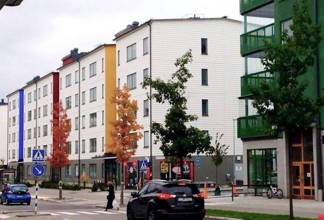 A fák színei teljesen véletlenül megegyeznek az épületek színeivel.
