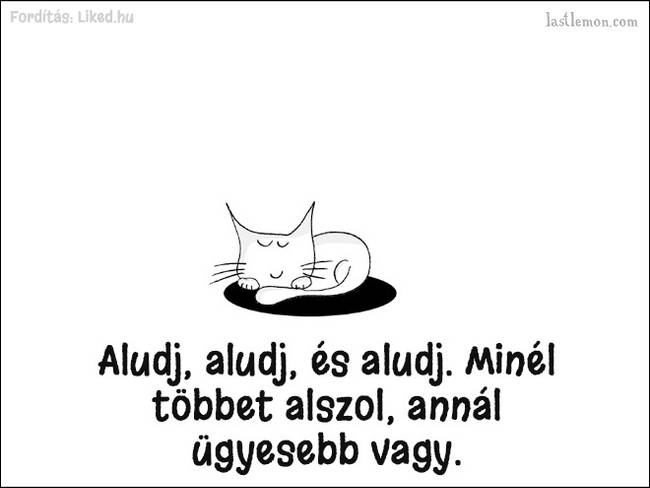 20 humoros illusztráció, ami megmutatja, hogyan kell jó macskának lenni