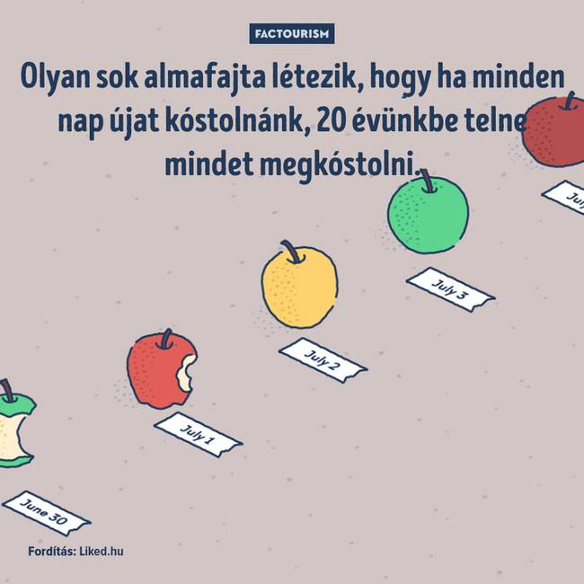 25+ őrült tény a világról, ami még a tapasztalt tudósokat is sokkolja