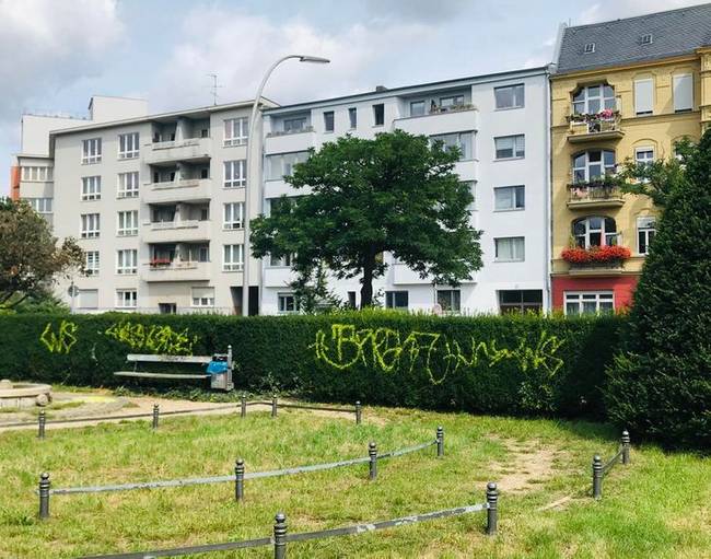 Berlinben közvetlenül a sövényekre fújják a graffitit.