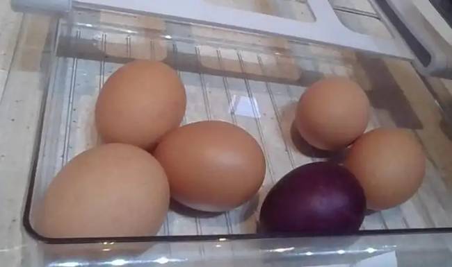 Elég érdekes fényképek 018
