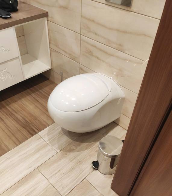 „Olyan lakásban élek, ahol ilyen kerek WC van felszerelve."