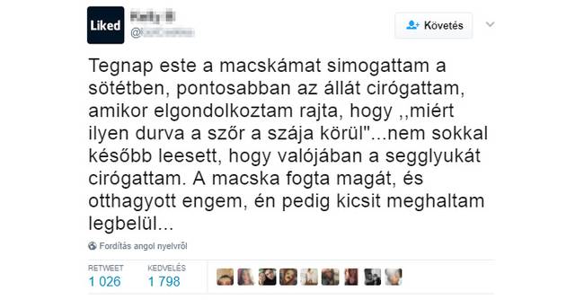 Szegény cica mire gondolhatott…😂