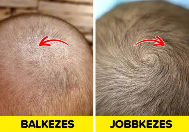 Balkezes emberek tények 014