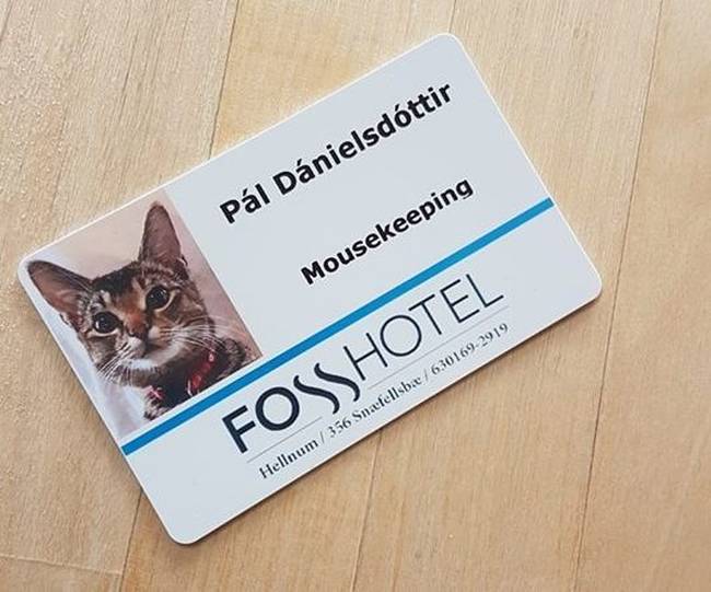 20 furcsa dolog, ami bizonyítja, hogy Izland egy nagyon különleges hely