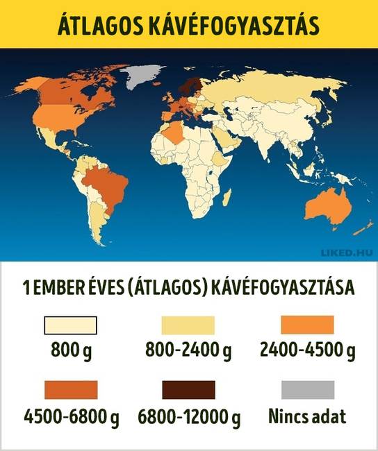 Eves atlagos kavefogyasztas
