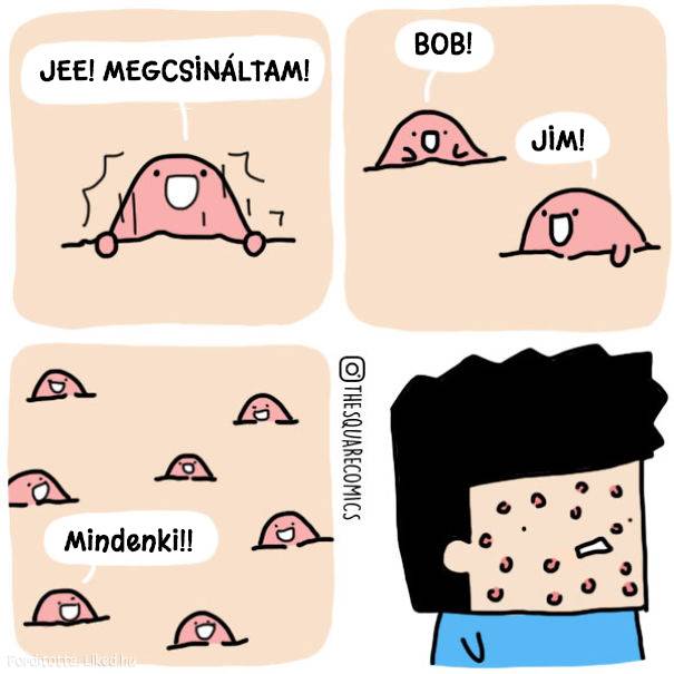 20 képregény, ami megmutatja, hogy milyen lenne a világ, ha a környezetünk beszélni tudna
