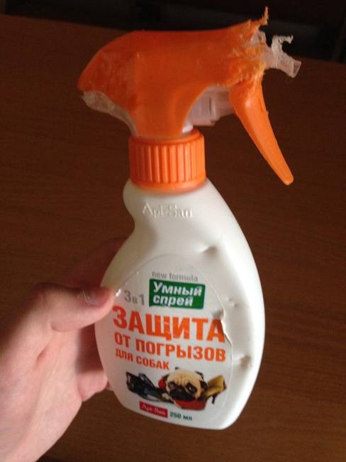Kutya rágás elleni spray…láthatóan nem túl hatékony…😏