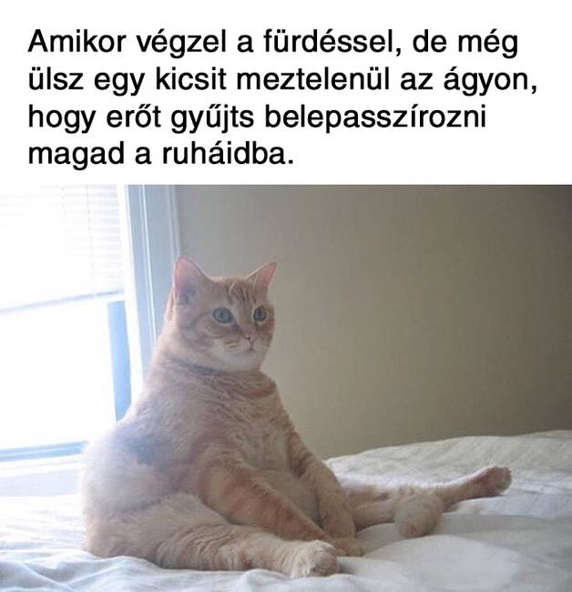 20 vicces terhességgel kapcsolatos mém, ami többet mond minden szónál