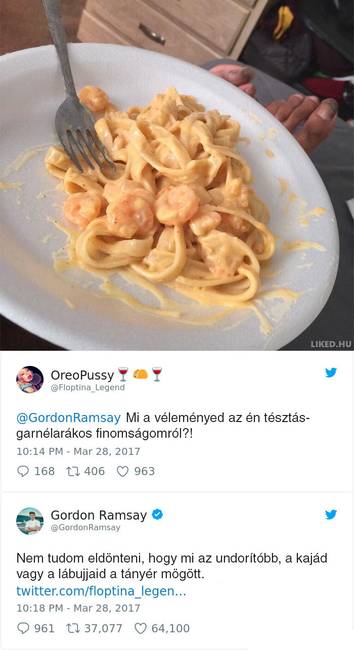 16 személy, aki jó ötletnek tartotta beküldeni a főztjét Gordon Ramsay Twitter oldalára