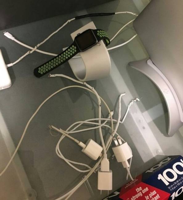 „Talán macskakajából készülnek az Apple-töltők, vagy mi a f*szért vonzódik hozzájuk ennyire a macskám?!?!"