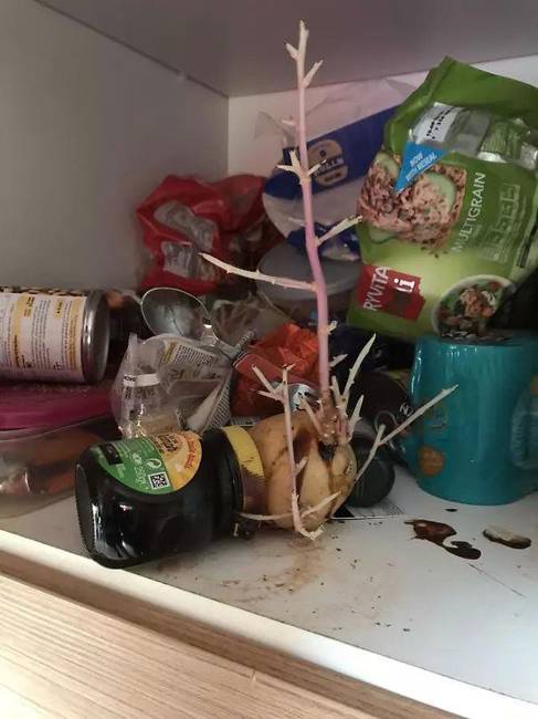 20 alkalom, amikor az emberek hirtelen döbbentek rá, hogy egy szörnyeteggel élnek egy fedél alatt