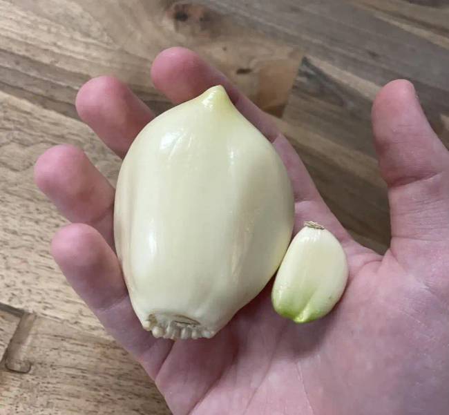 Összehasonlító fotók hűha 010