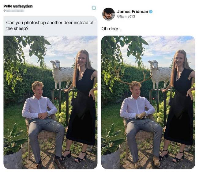 „Tudnál egy szarvast Photoshoppolni a bárány helyett?"
