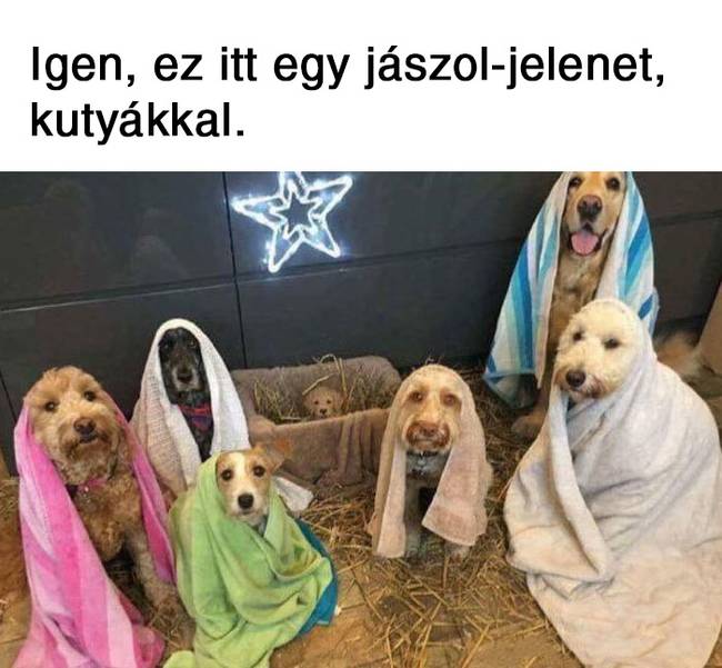 20 vicces karácsonyi mém, ami többet mond minden szónál