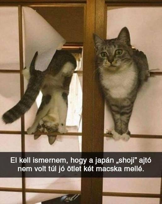 A jelek szerint nem igazán.