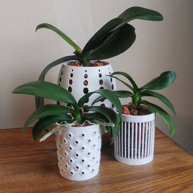 „Átültettem az orchideáimat a saját magam által tervezett és nyomtatott virágtartóimba."