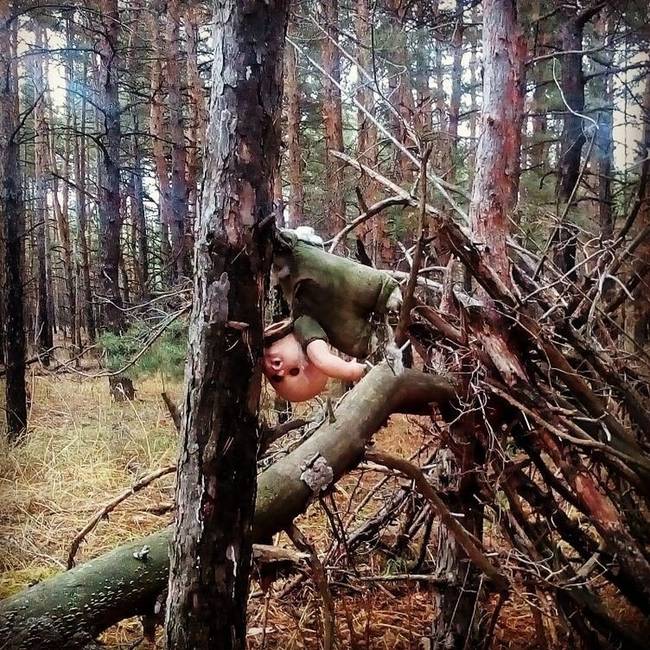 Gombagyűjtés közben az embernek néha olyan érzése támadhat, mintha csak egy horror filmbe csöppent volna.