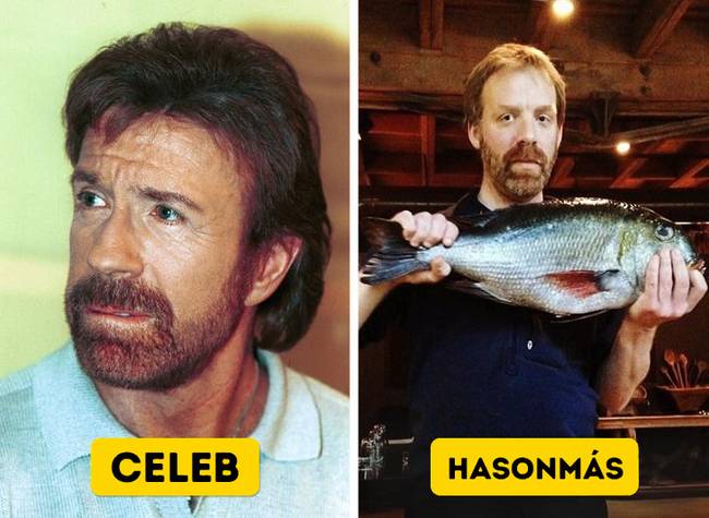 Amikor Chuck Norris nyaral.