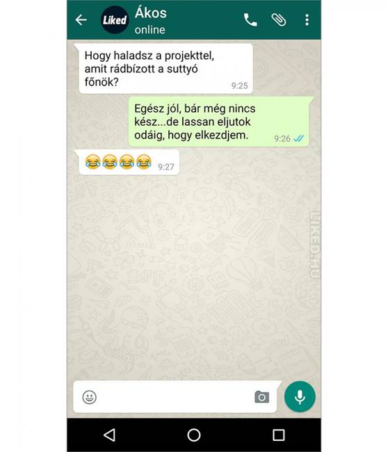 Bárhogy is nézem, ez már majdnem félút.