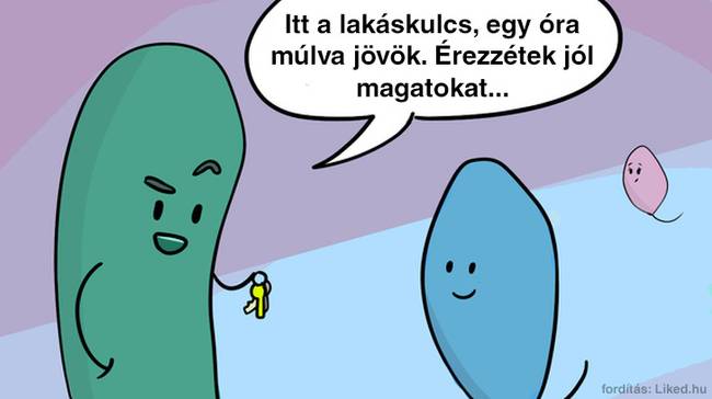 A tudósok találtak egy baktériumot, ami segíthet a reprodukciós folyamatban.