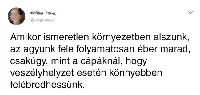Ismeretlen Környezetben Alvás
