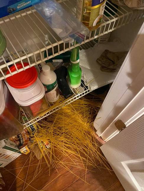 Nyilvánvaló, hogy valaki rosszul zárta vissza a spagettit.
