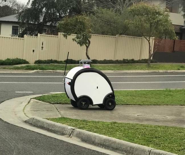 Élelmiszer szállító robot.