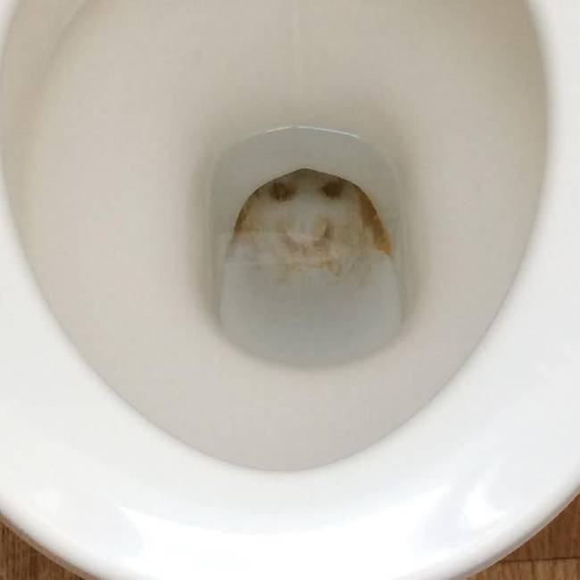 „Az új otthonomban egy baljóslatú mosolygós arc van a WC-mben, és nem tudom lemosni."
