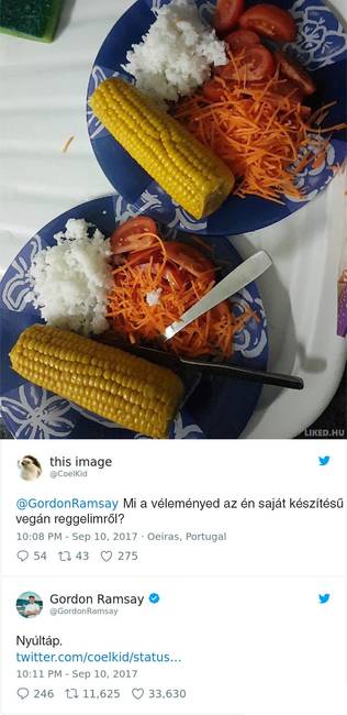 16 személy, aki jó ötletnek tartotta beküldeni a főztjét Gordon Ramsay Twitter oldalára