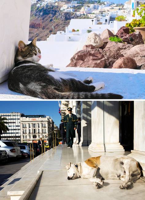 A görögök a sziesztát mesimeri-nek hívják.